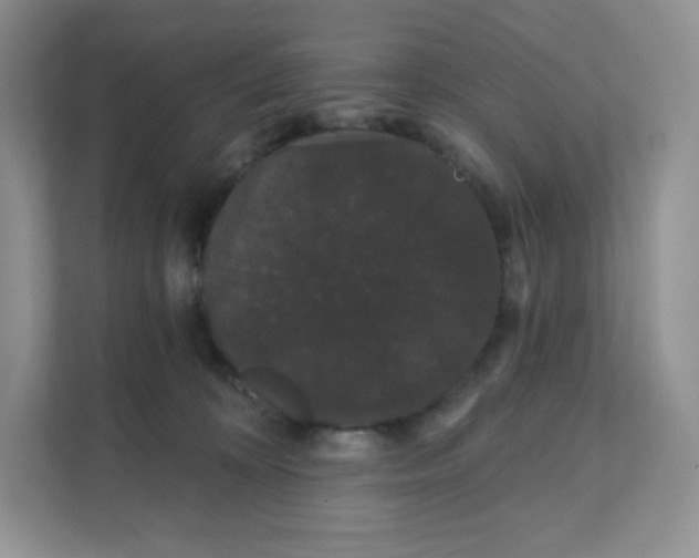 X0000111590324200907301431