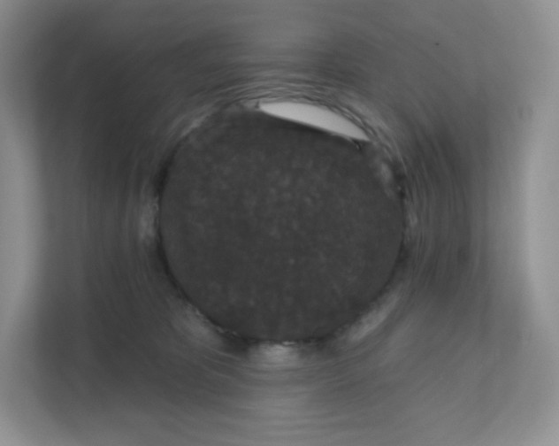 X0000111590325200907301431