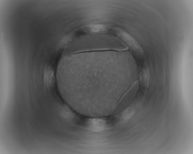 X0000111590327200907301431