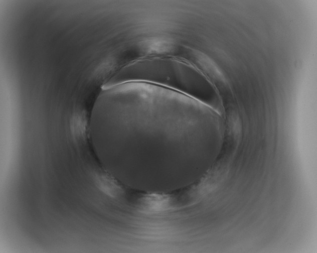 X0000111590328200907301431