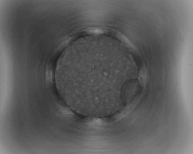 X0000111590330200907301431