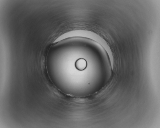 X0000111590332200907301431