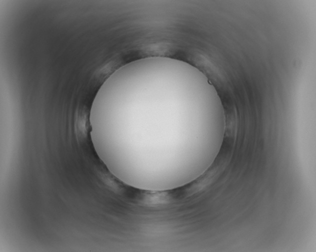 X0000111590334200907301431