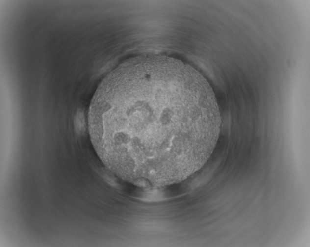 X0000111590335200907301431