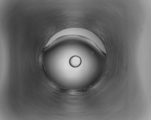 X0000111590336200907301431