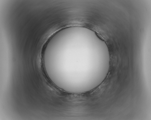 X0000111590338200907301430