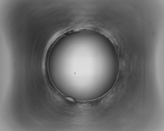 X0000111590340200907301430