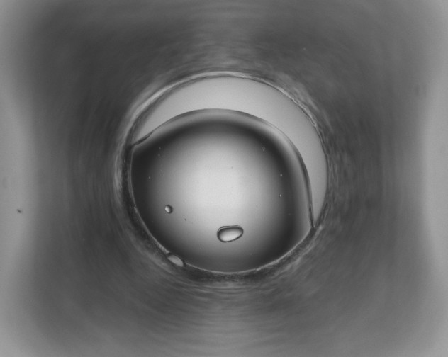 X0000111590344200907301431