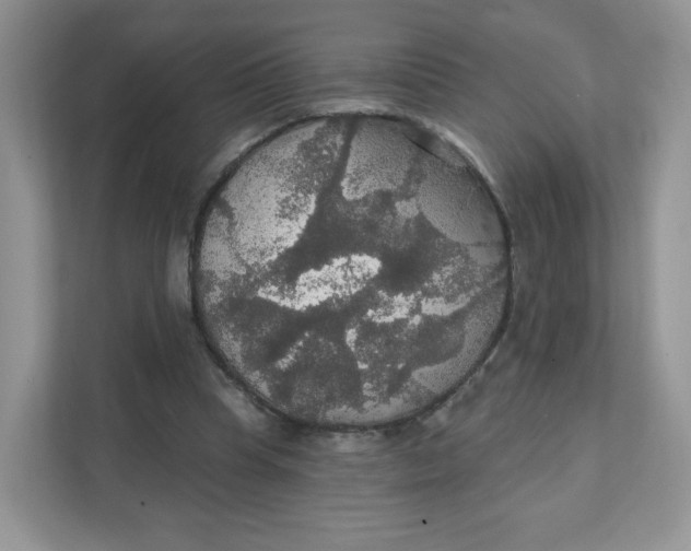 X0000111590345200907301431