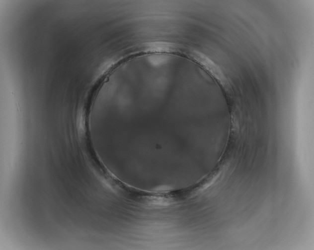 X0000111590347200907301431