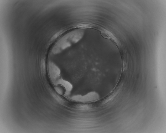 X0000111590349200907301431