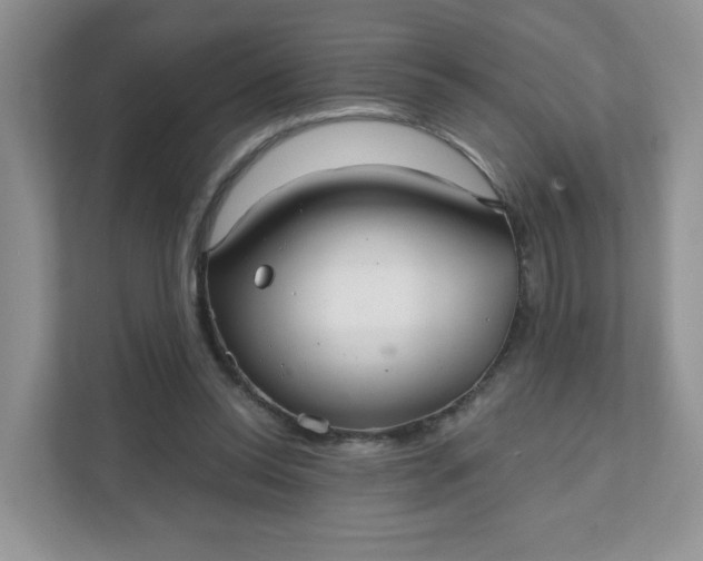 X0000111590350200907301431