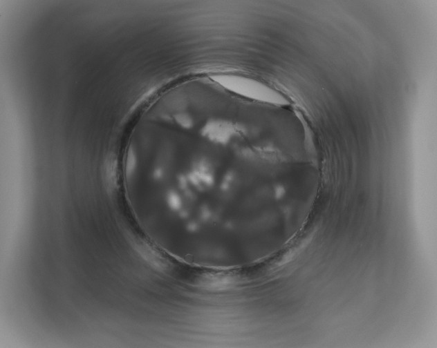 X0000111590351200907301431