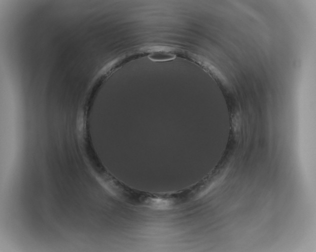 X0000111590352200907301431