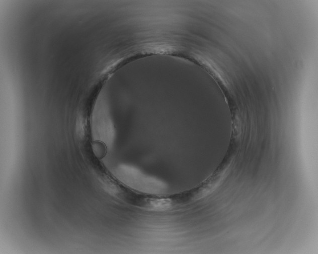 X0000111590355200907301431