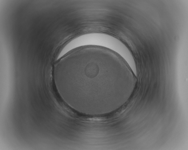 X0000111590356200907301431