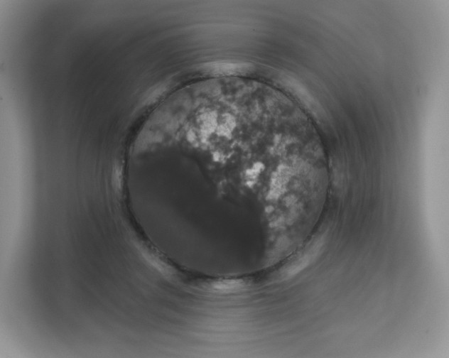 X0000111590357200907301431