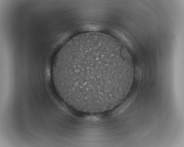 X0000111590358200907301431