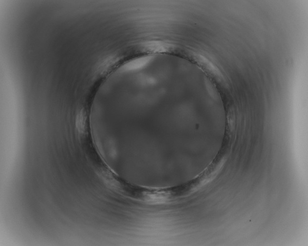 X0000111590359200907301431