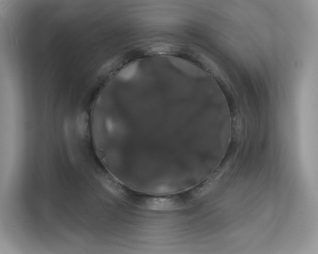 X0000111590361200907301431