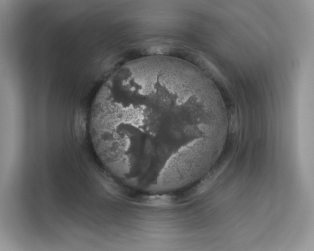 X0000111590363200907301431