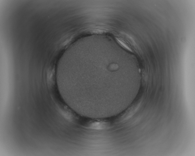 X0000111590364200907301431