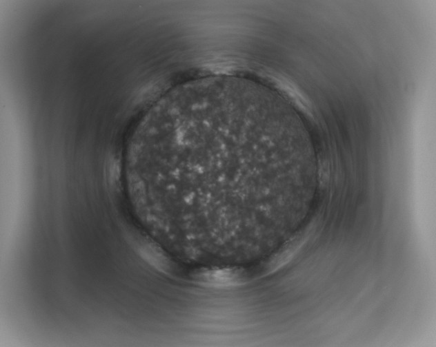 X0000111590365200907301431