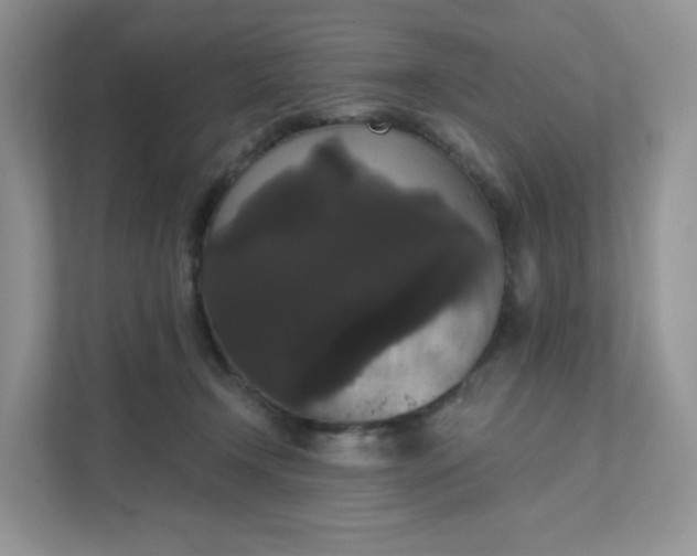 X0000111590366200907301431