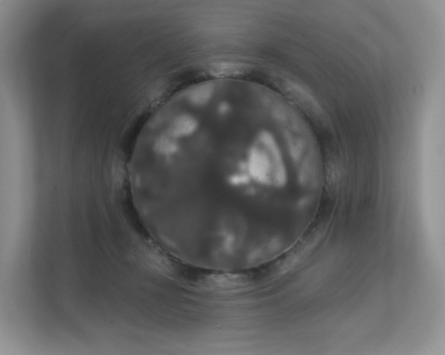 X0000111590367200907301431