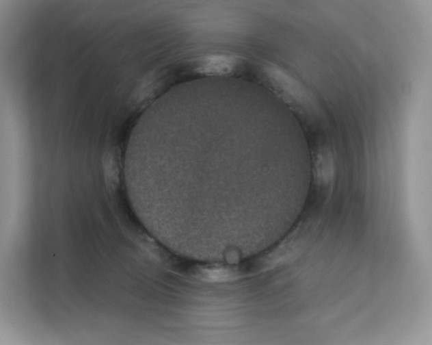 X0000111590370200907301431