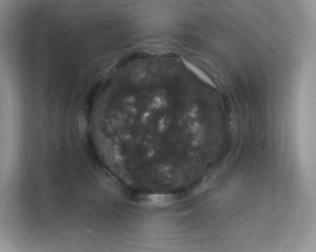 X0000111590371200907301431