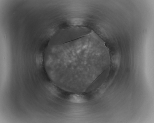 X0000111590372200907301431