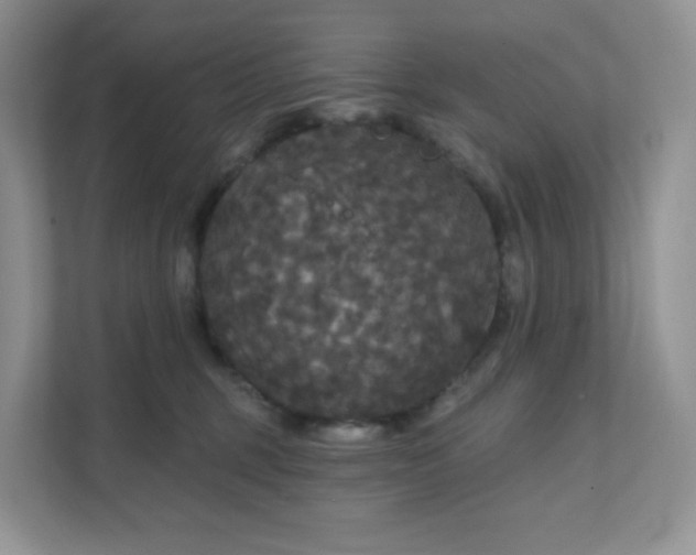 X0000111590375200907301431