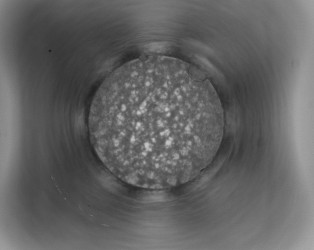 X0000111590377200907301431