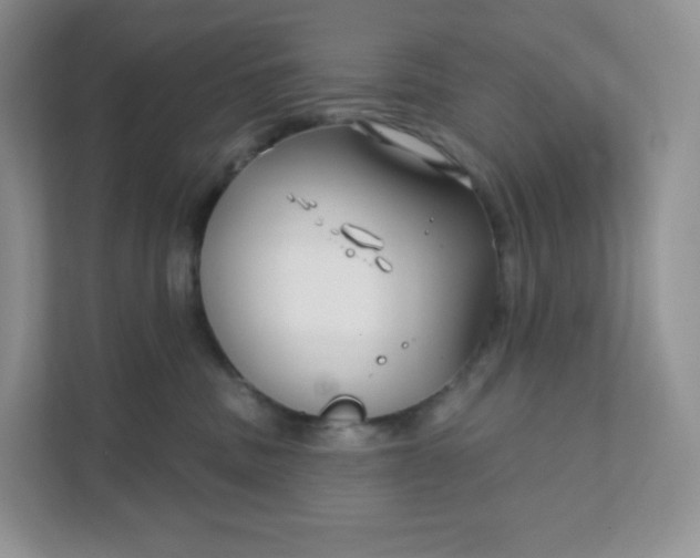 X0000111590379200907301431