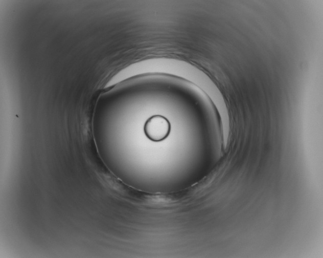 X0000111590380200907301431