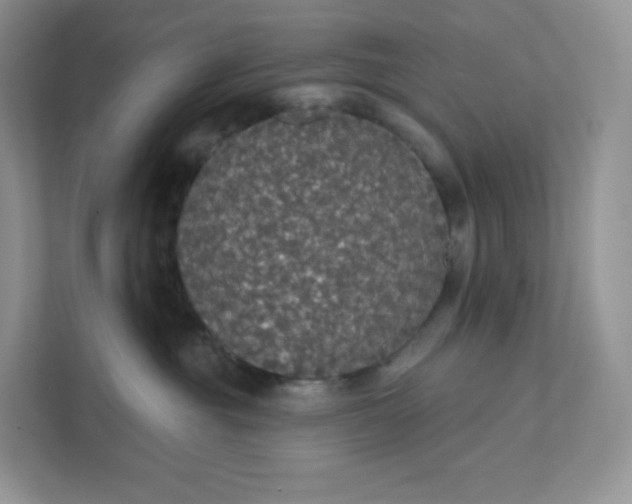 X0000111590381200907301431