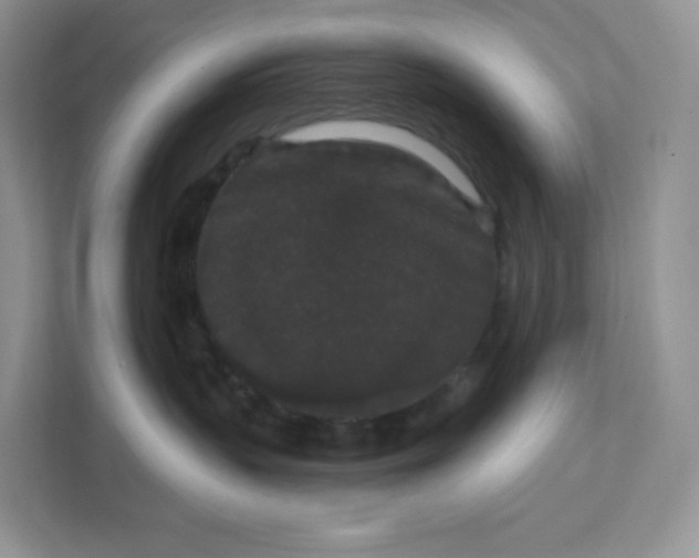 X0000111590383200907301431