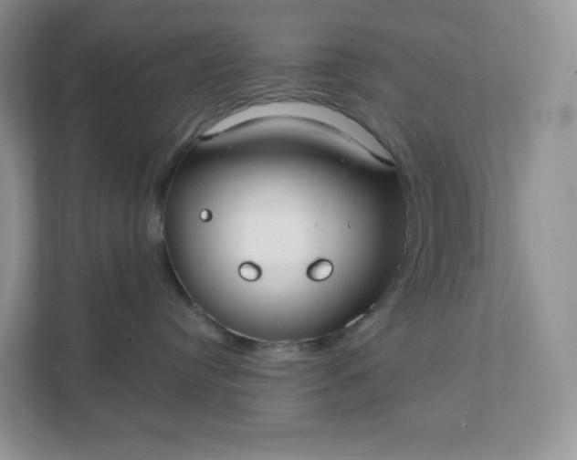 X0000111590384200907301431