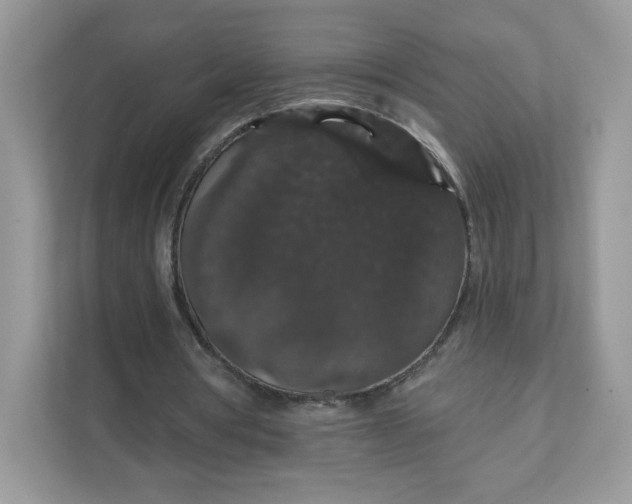 X0000111590386200907301430