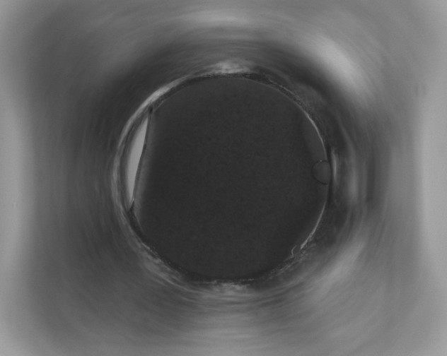 X0000111590387200907301430