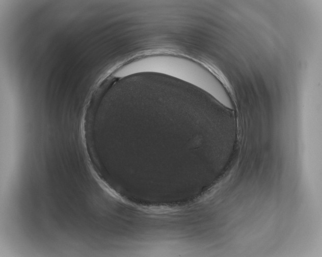 X0000111590389200907301430