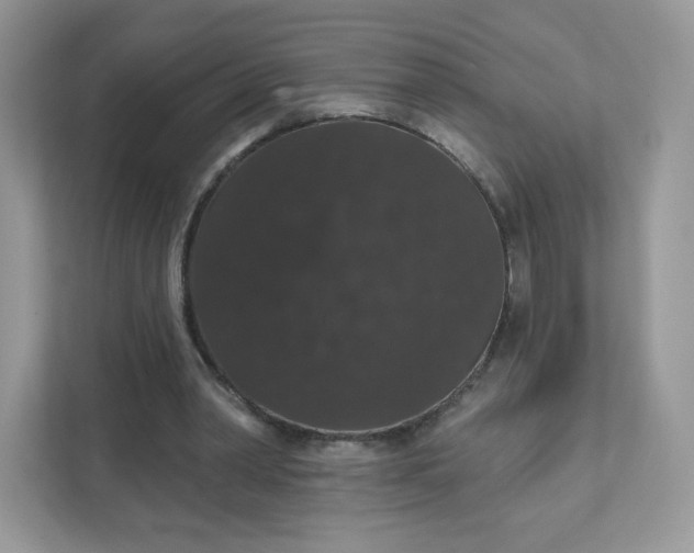 X0000111590390200907301430