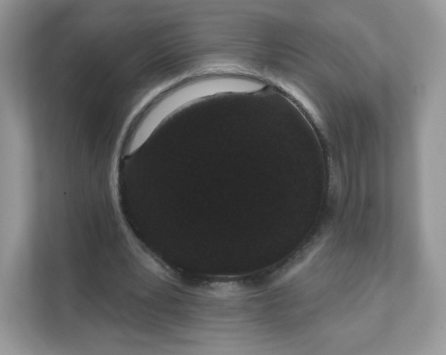 X0000111590391200907301430