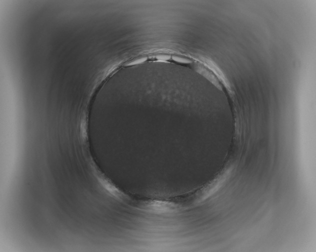 X0000111590393200907301430