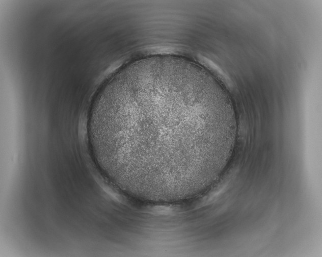 X0000111590394200907301430