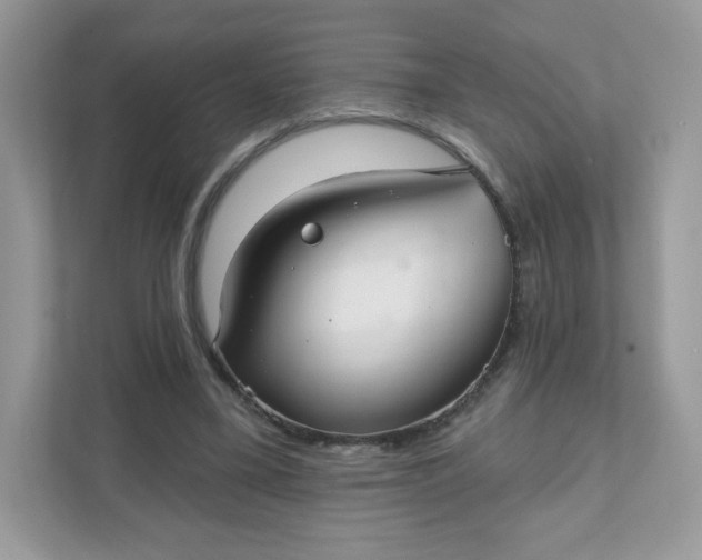 X0000111590395200907301430