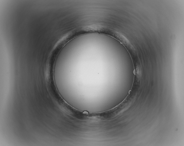 X0000111590396200907301430