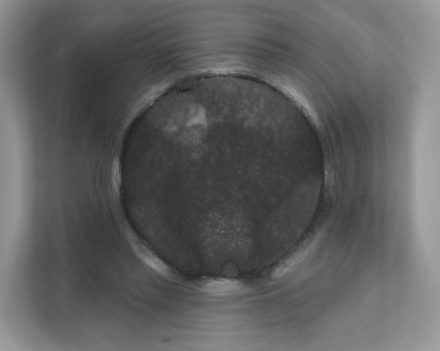 X0000111590397200907301430