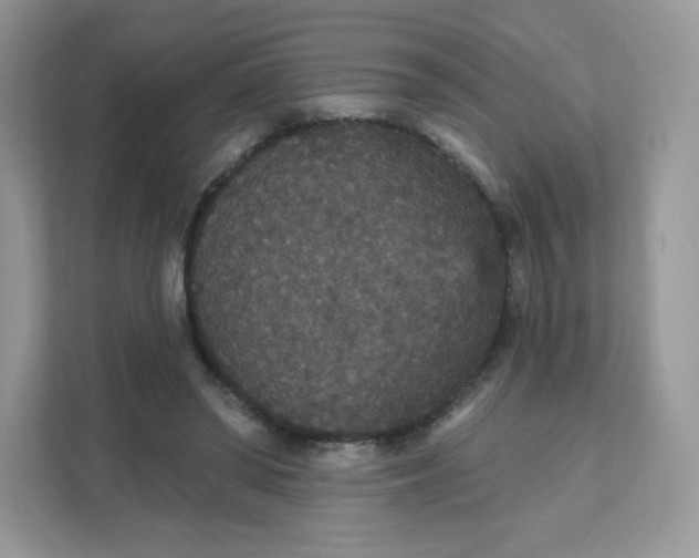 X0000111590398200907301430